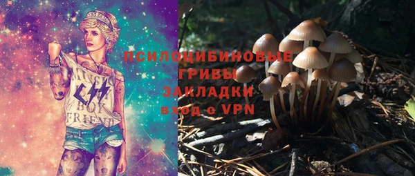 тгк Абинск